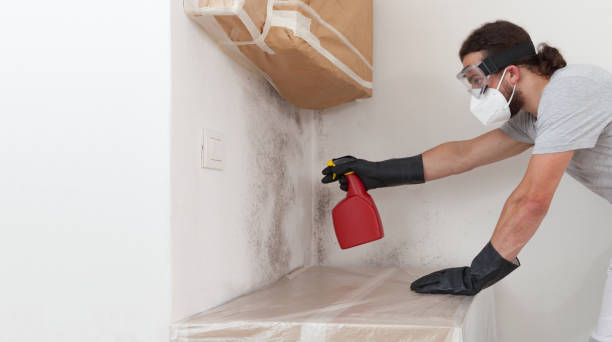 Professional Mold Inspection And Testing technician working in Omena, MI
